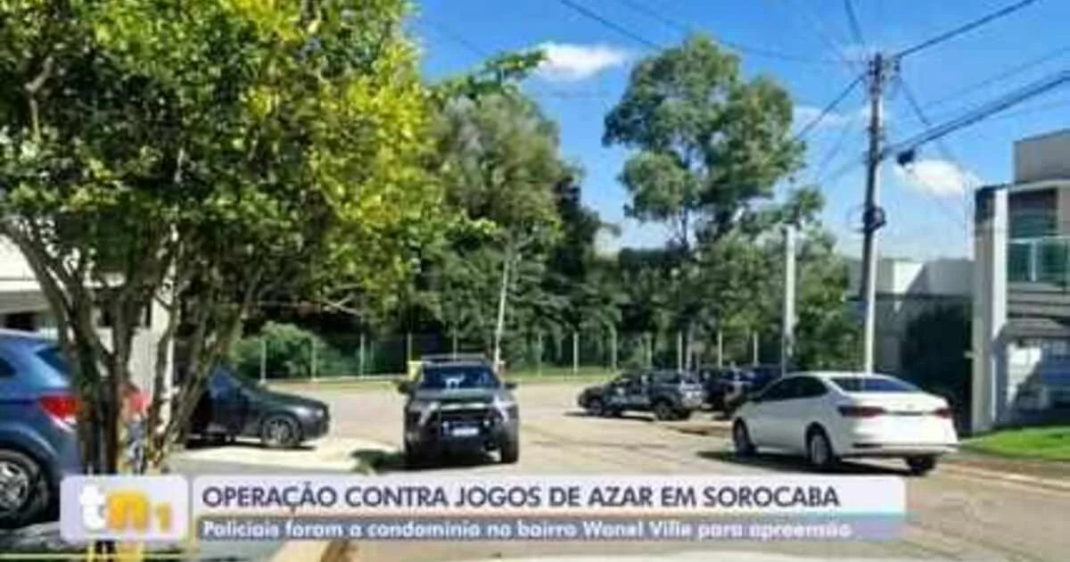 apostas esportivas